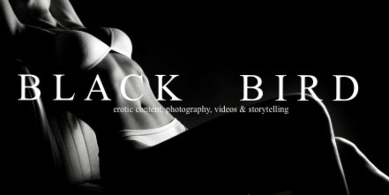 Black Bird Erotica cover image
