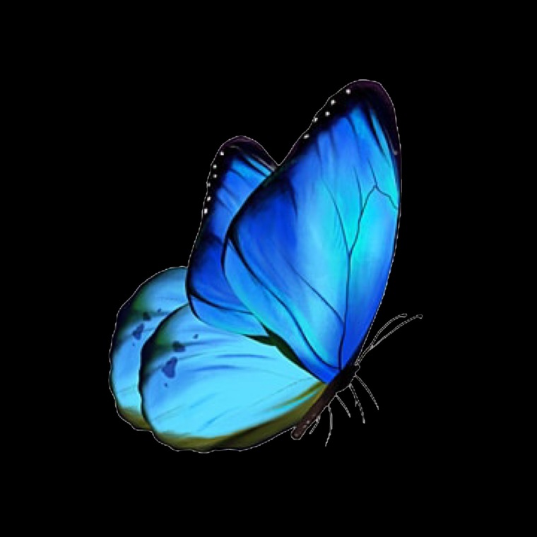 Black Bxnnie banner image