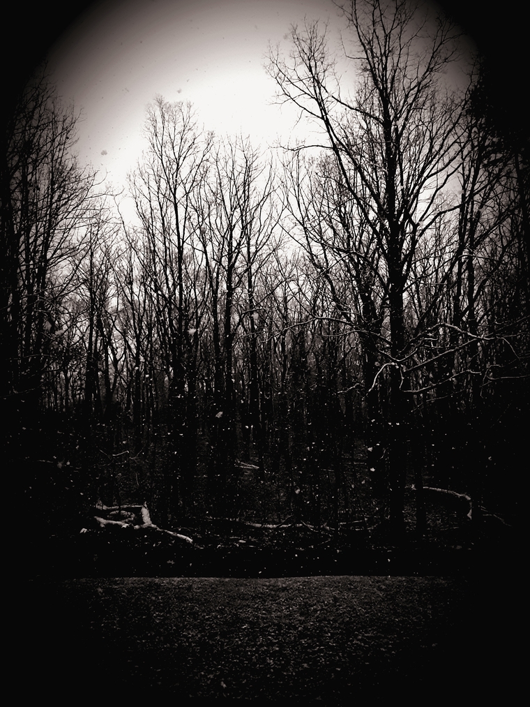 BlackenedSole cover image