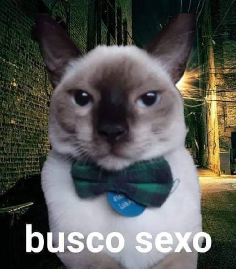 Byron Rosero banner image