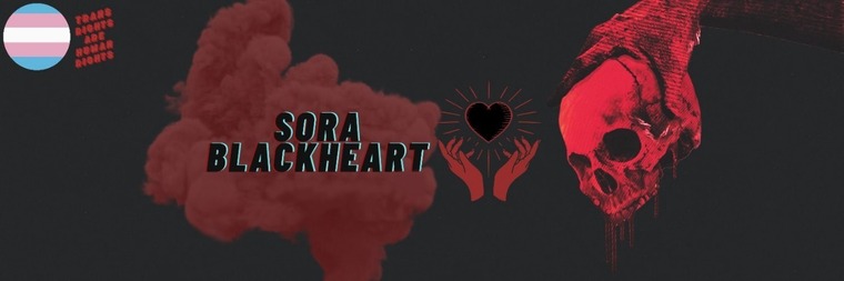 Sora cover image