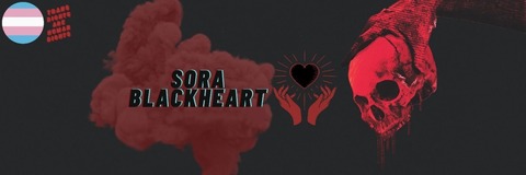 Sora cover image