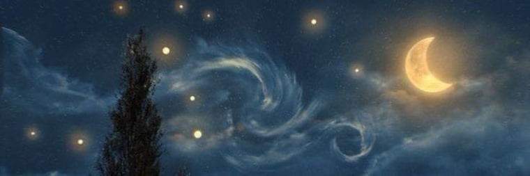 BlackIvy cover image