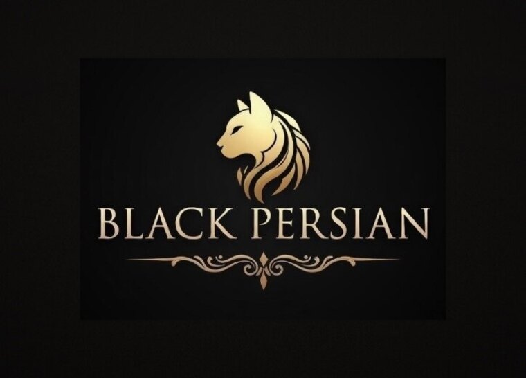 Black Persian cover image