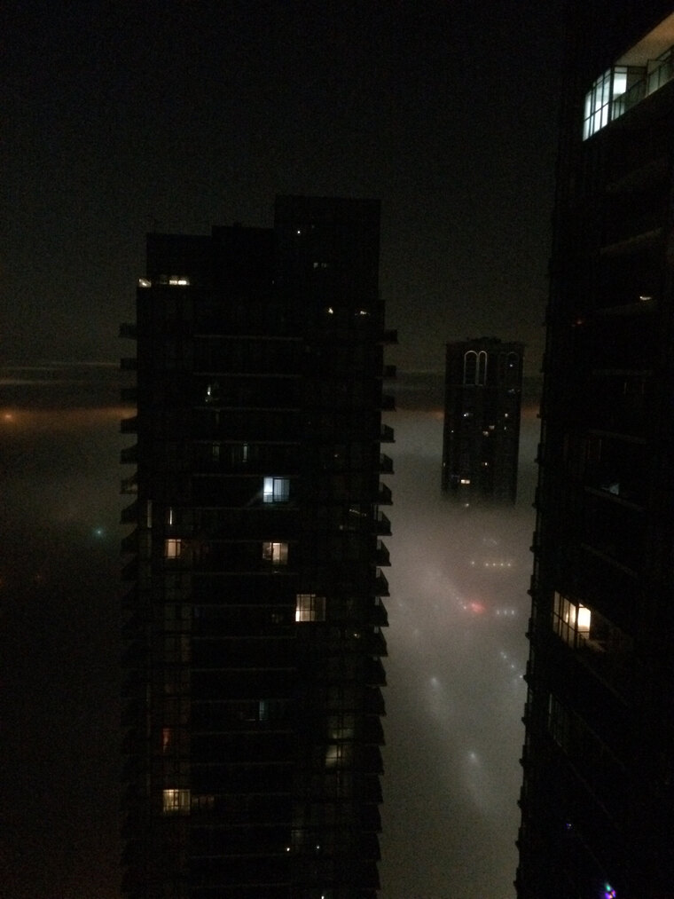 BLVKZ1LLV cover image