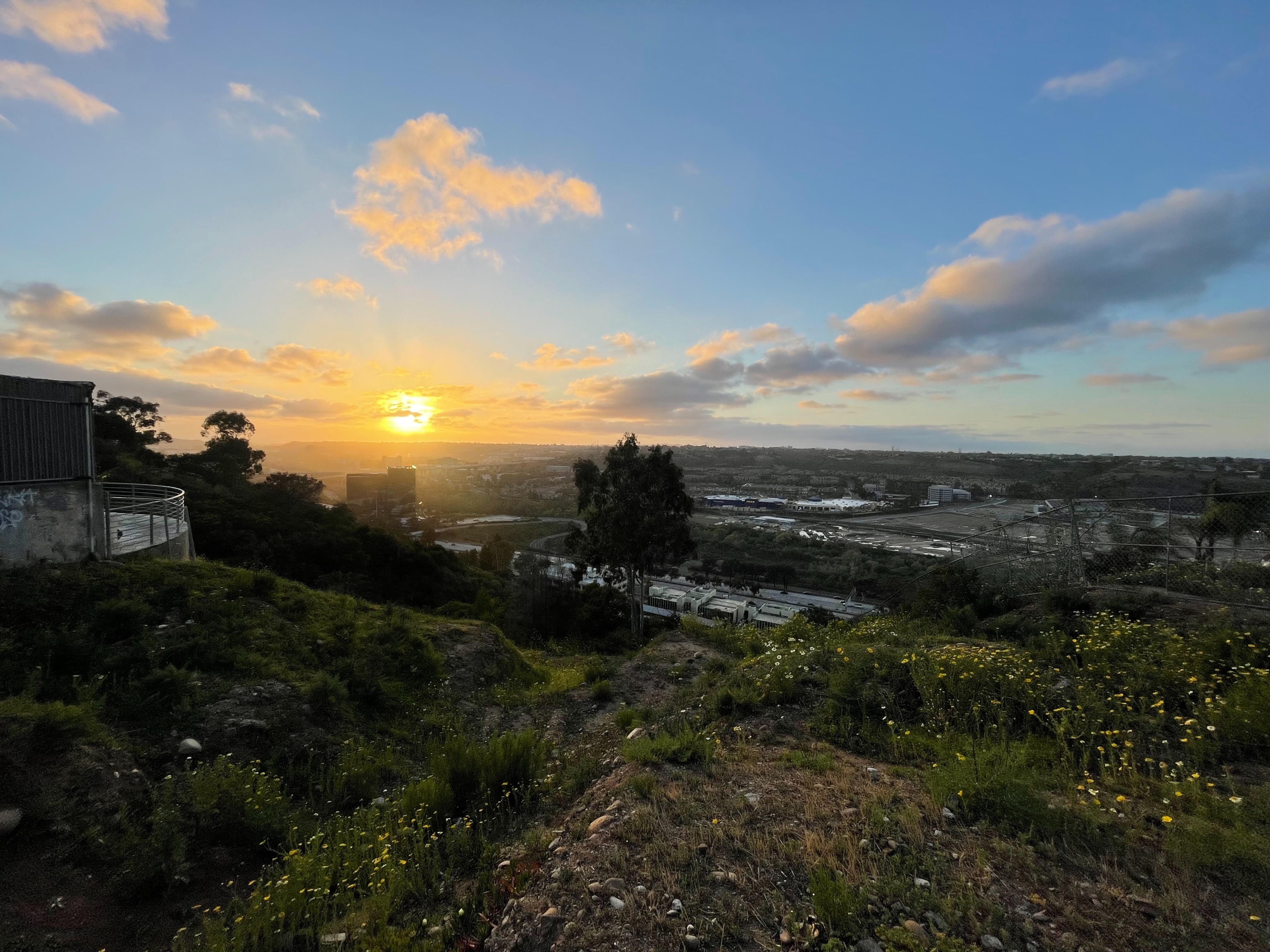 Blaine Hill banner image