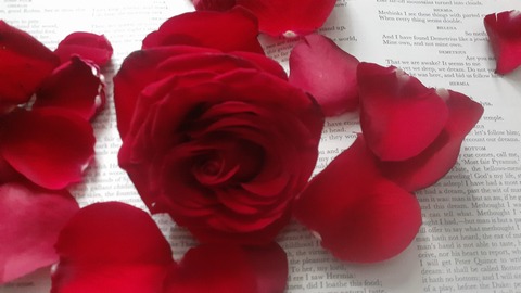 u136266739 cover image