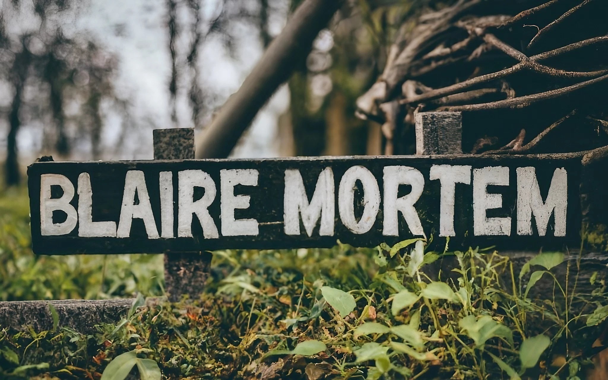 Blaire Mortem banner image