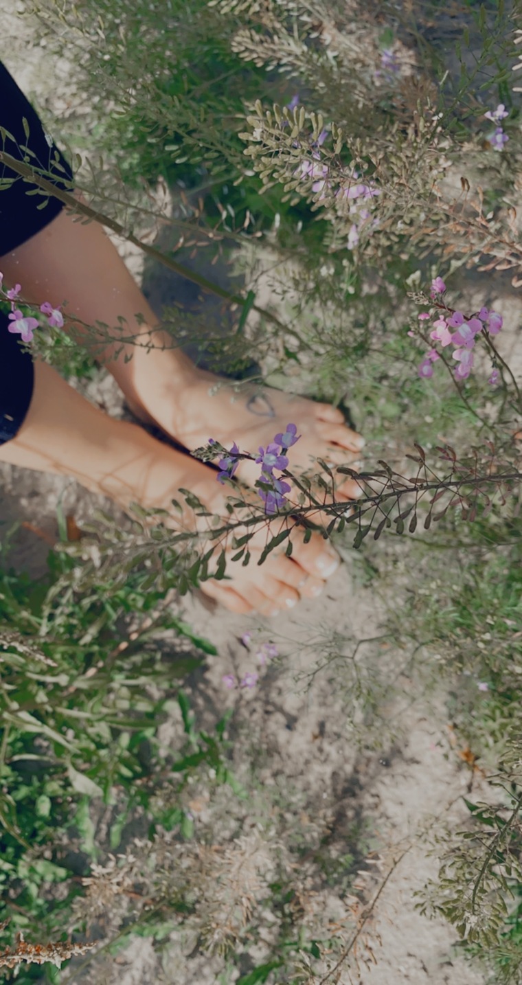 BlakeGetsMe cover image