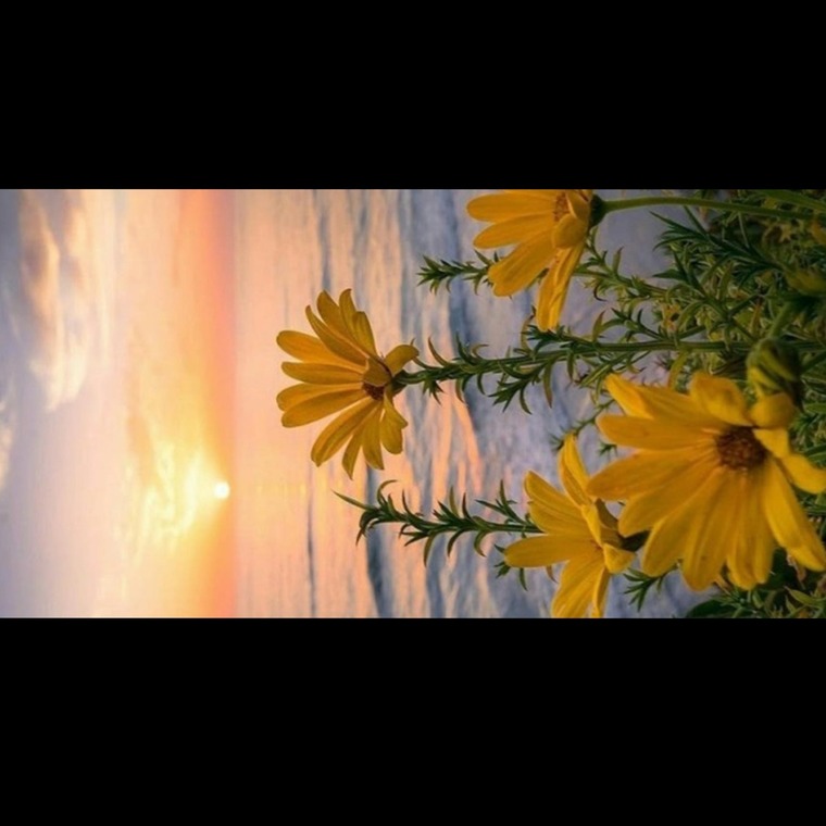 Blake Tagi banner image