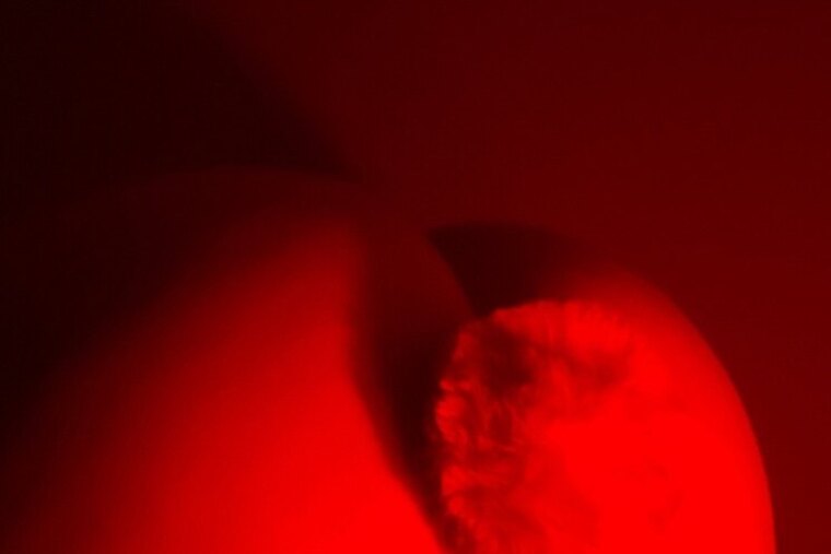 Blanca Fuego cover image