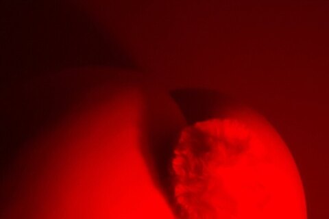 Blanca Fuego cover image