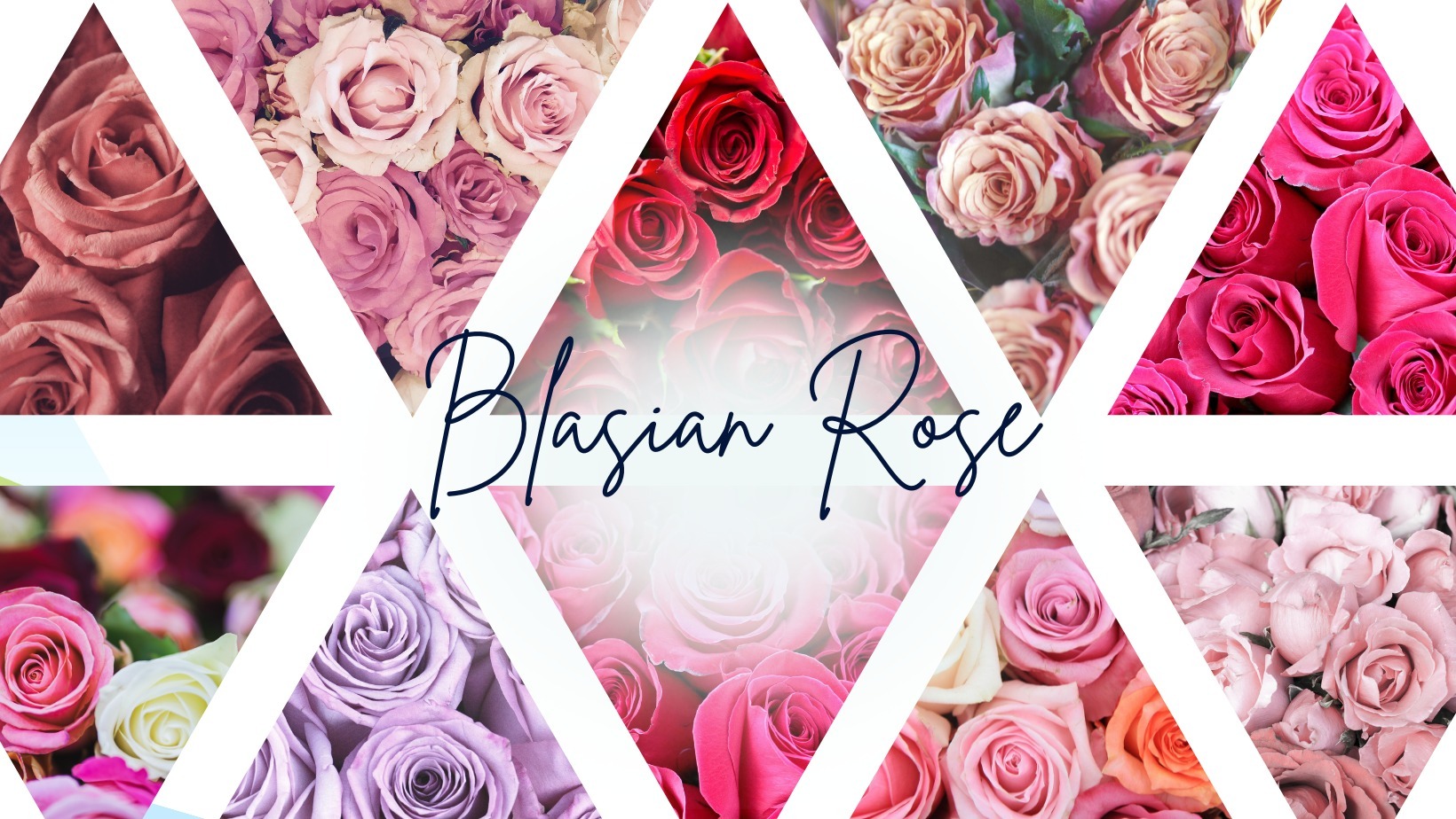 Blasian Rose banner image