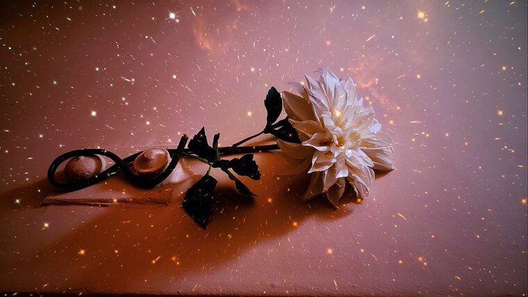 BlazeeJane banner image