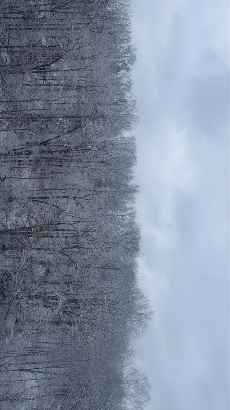 Wes cover image