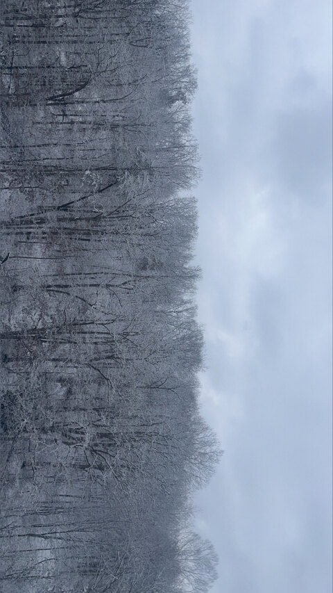 Wes cover image
