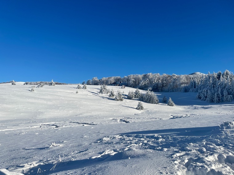 Hristiana Boneva banner image