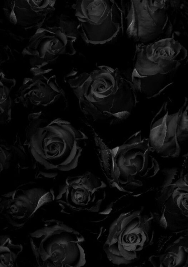 Lytsknd cover image