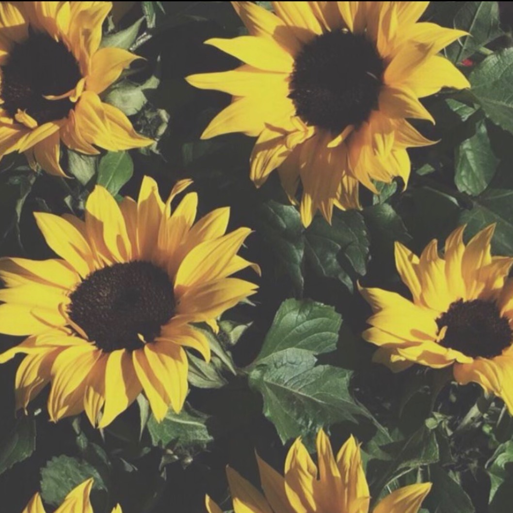 mads banner image