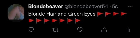Blondie cover image