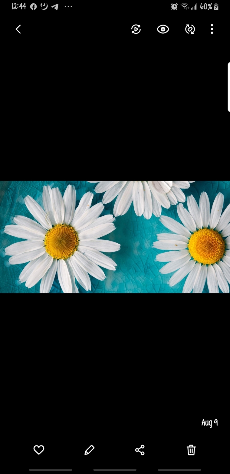 Irish_Princezz banner image