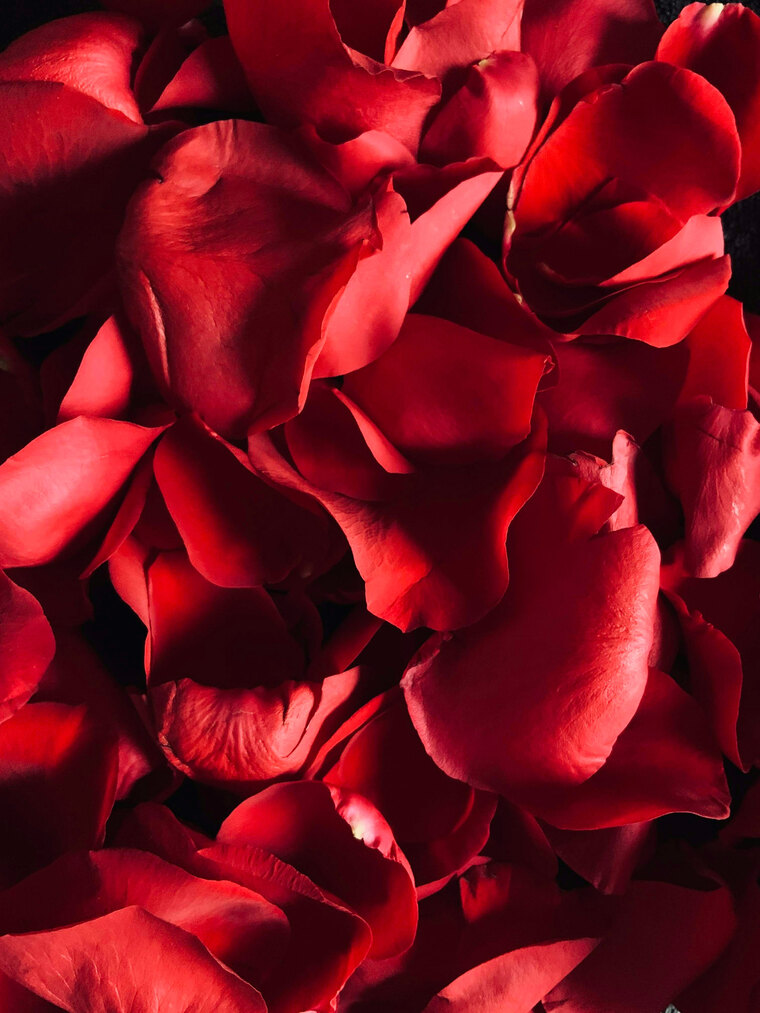 Blondequeenxo banner image