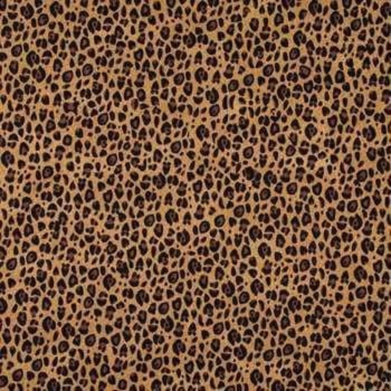 KittyAfterDark cover image