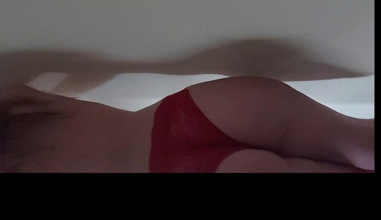 Blondy Bunny ๐ banner image