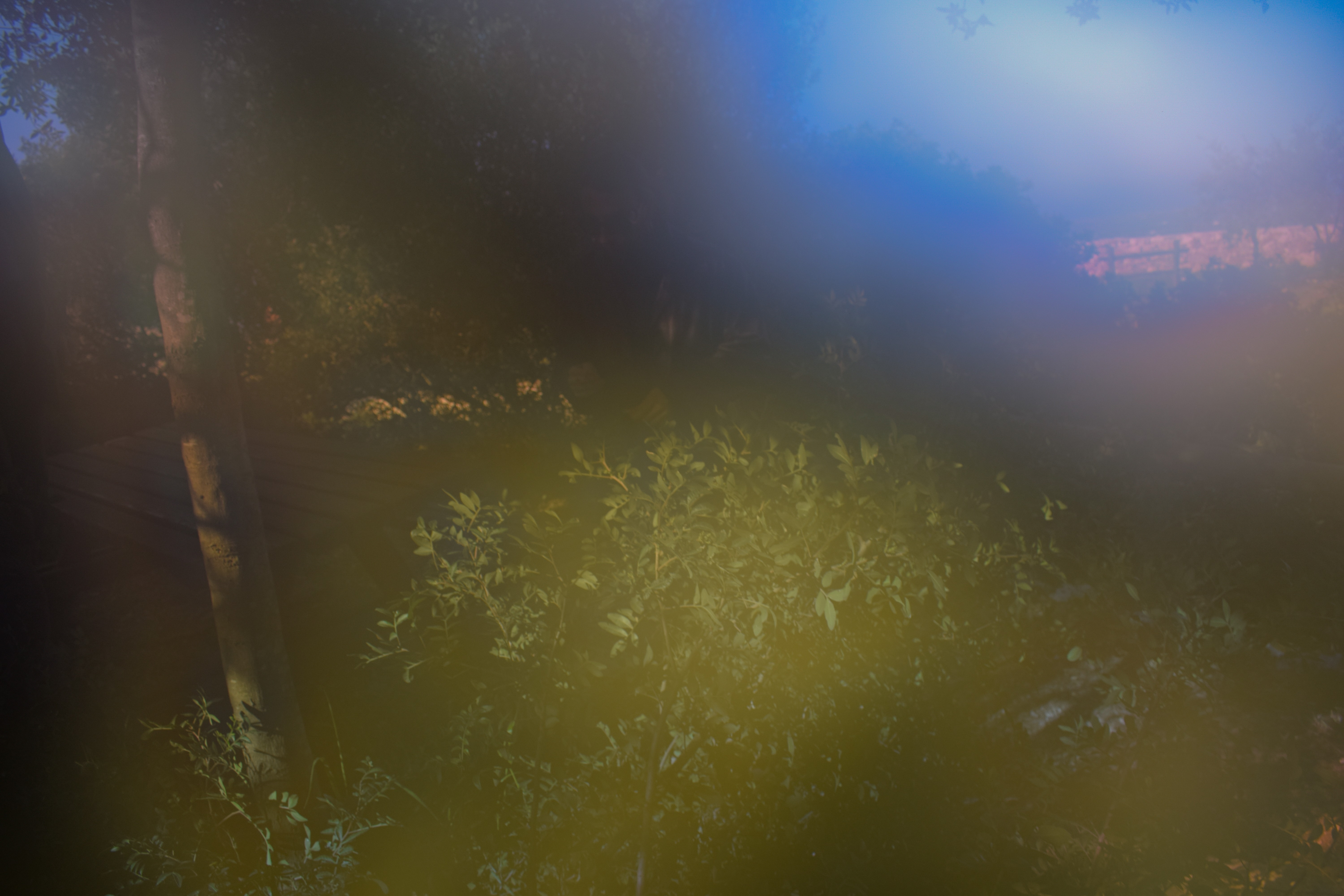 PUNK_SEXY_BOY banner image