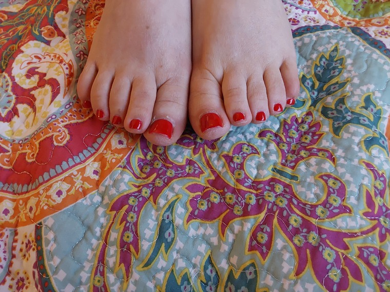 BellaRoseBloom cover image