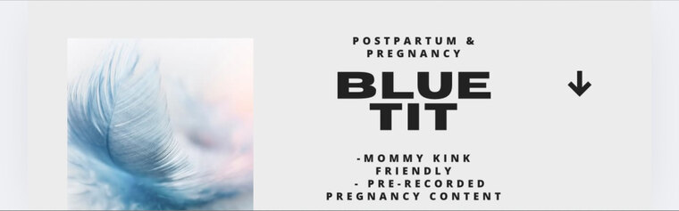 Blue Tit cover image