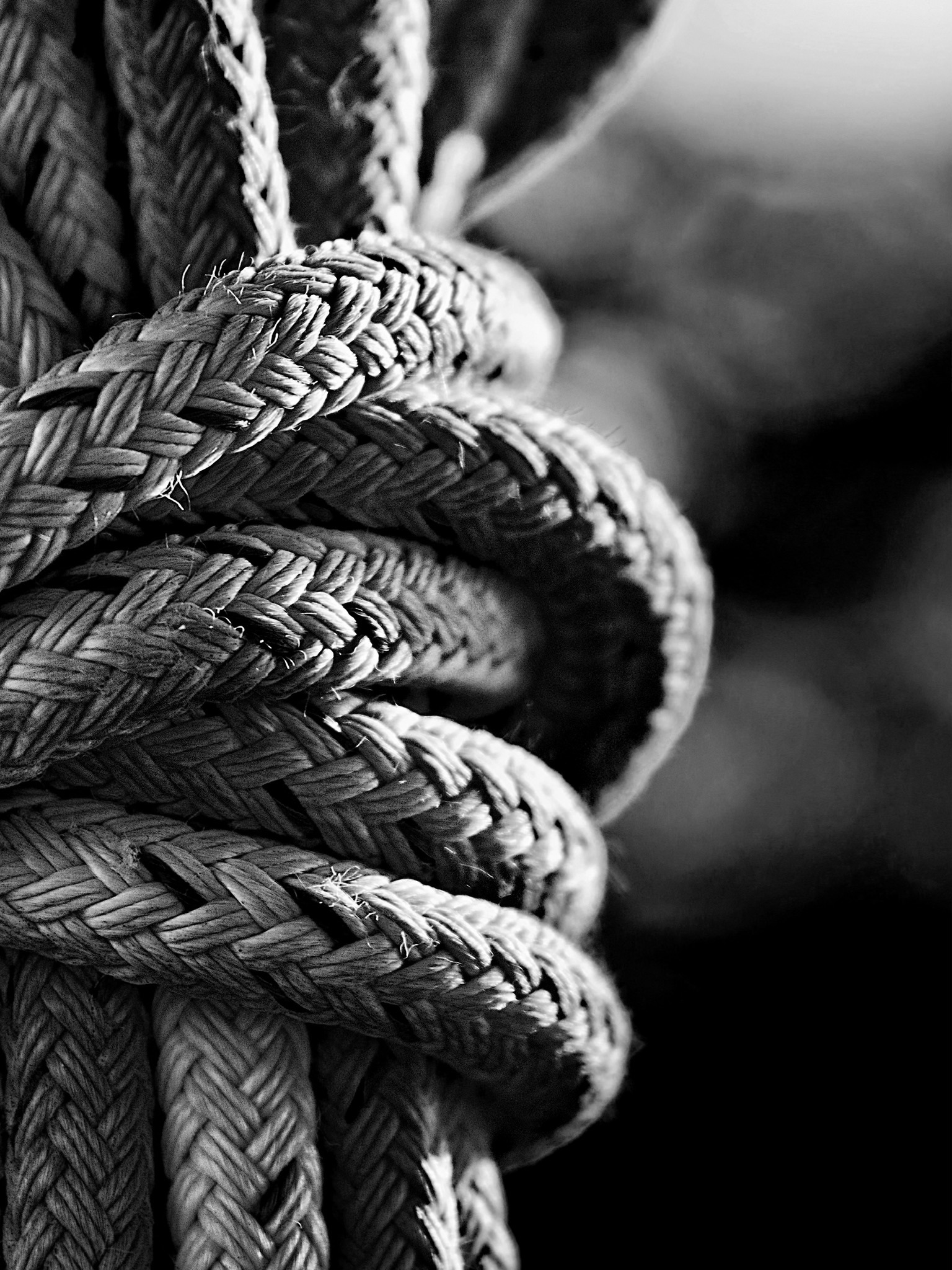 Luna banner image