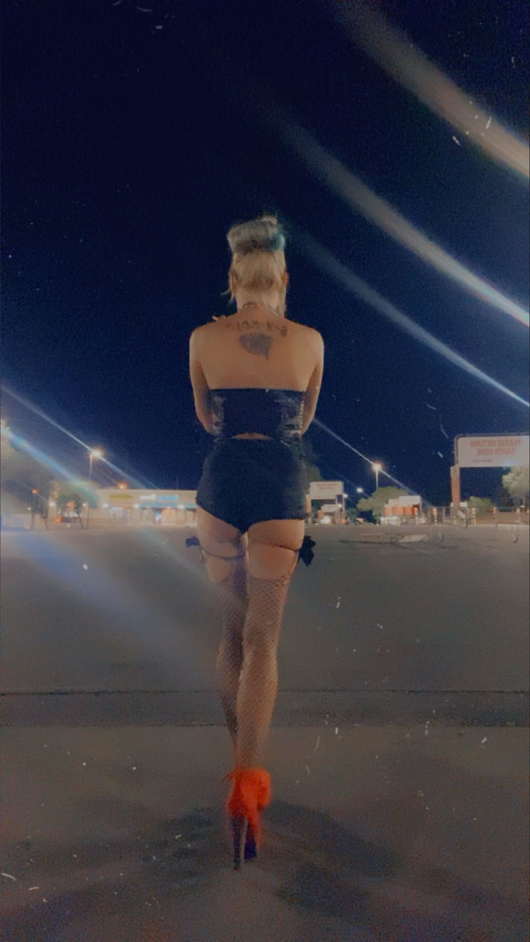 Cat xoxx cover image
