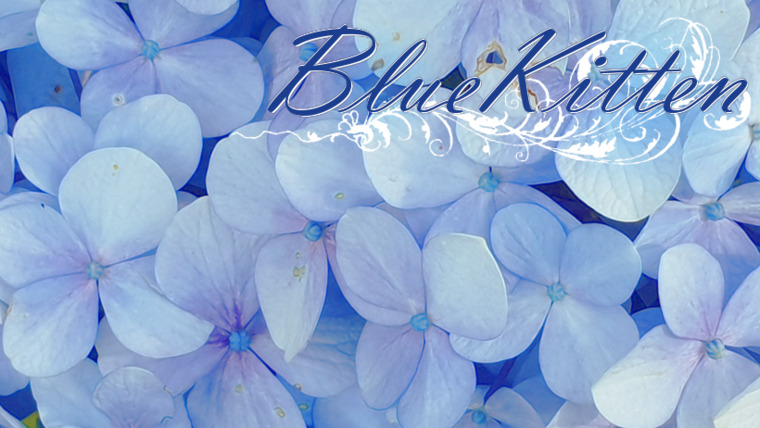 Blue Kitten cover image
