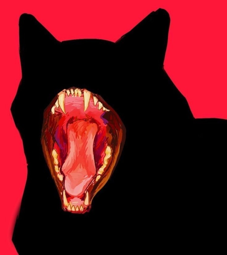 nicooooo666 cover image