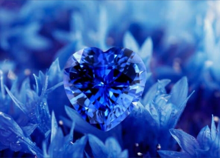 💙Bluey Sapp🩵 banner image
