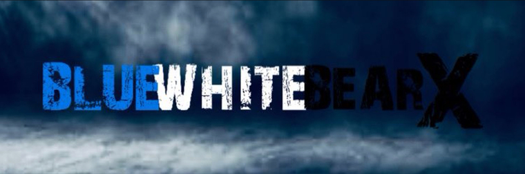 BluewhitebearX banner image