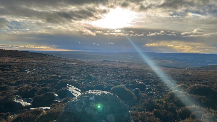 BM-Ring cover image