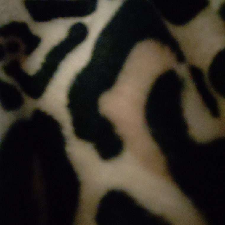 Missjuicybpawg24 cover image
