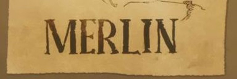Merlin banner image
