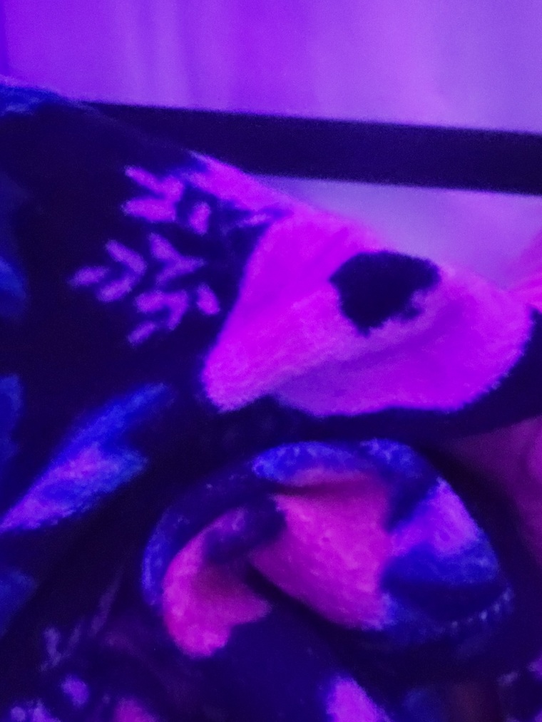 B cover image