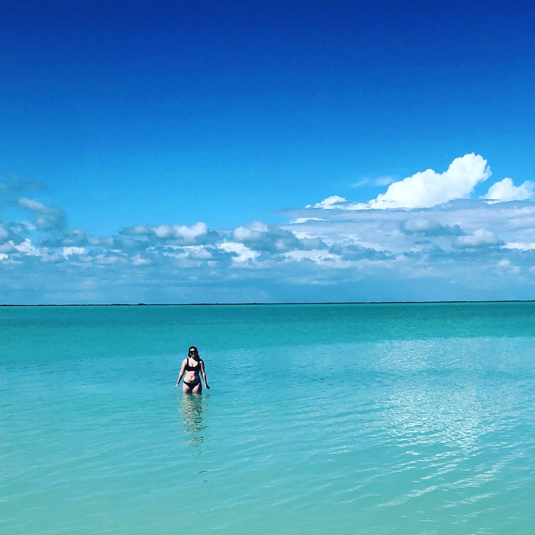 Bobbi L banner image