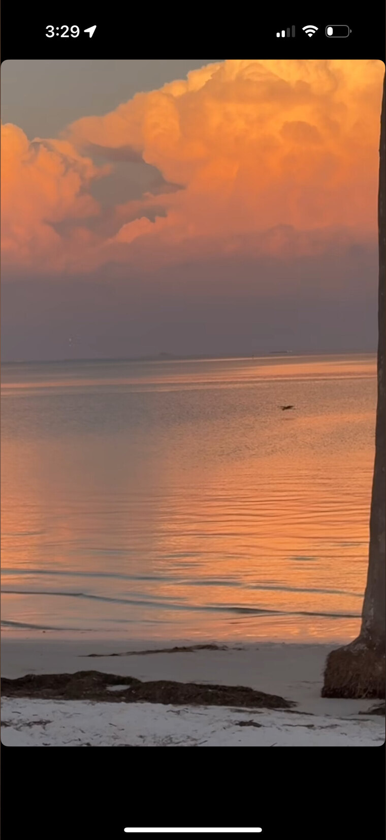 BobbyBigDick cover image