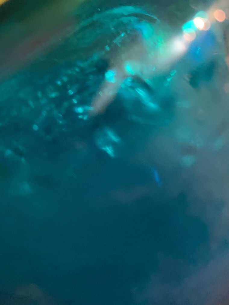𝕭𝖔𝖇𝖇𝖞 cover image