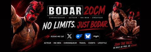 Bodar20cm cover image