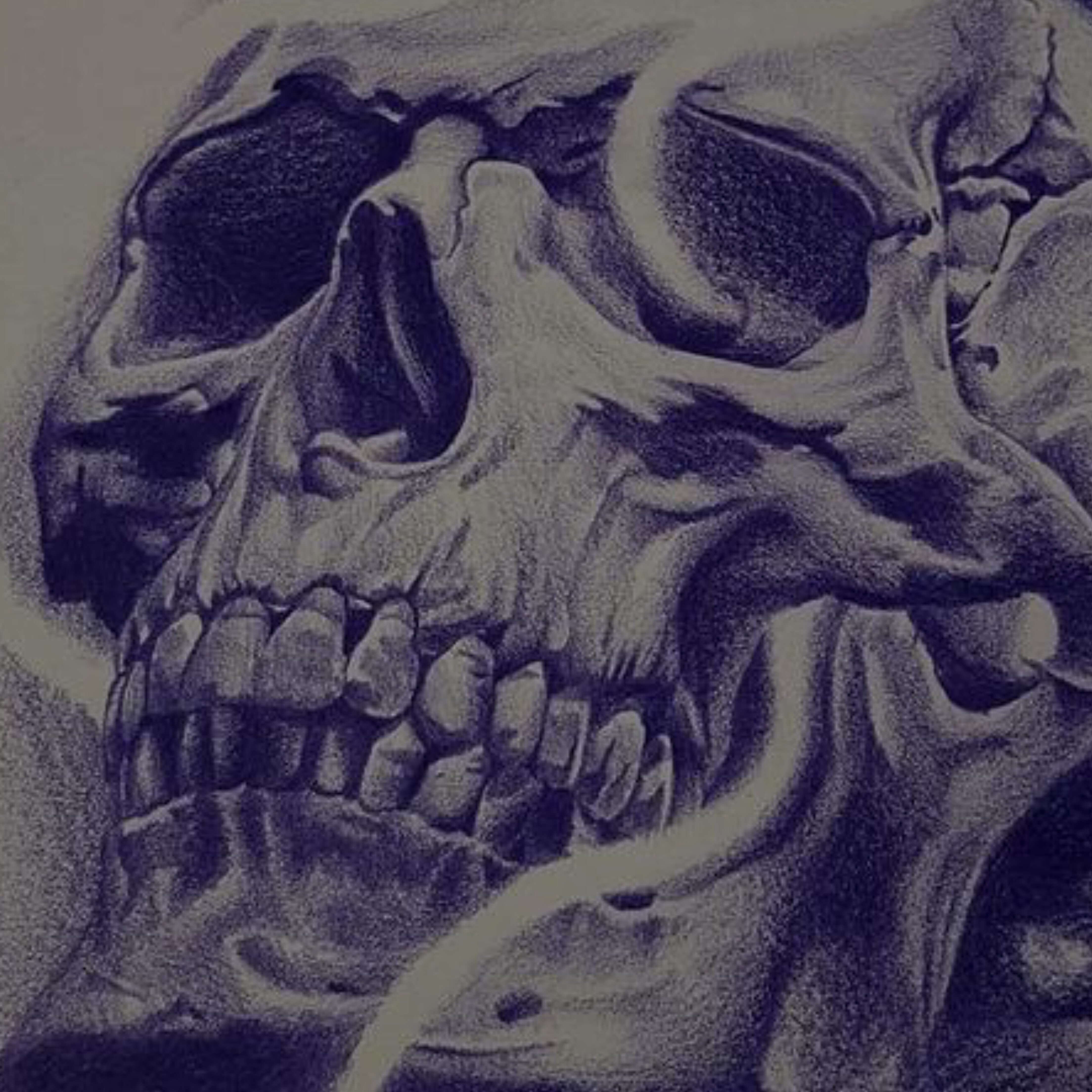 BogdanSP banner image