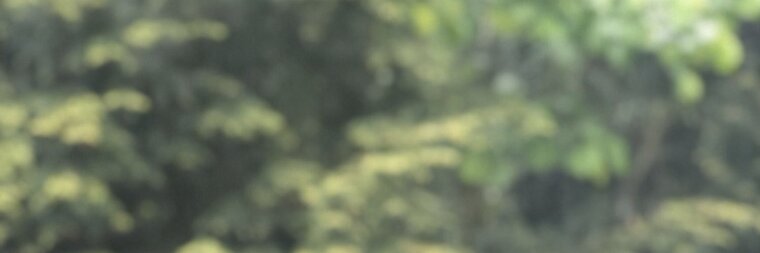boii banner image