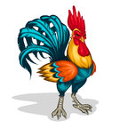 BoldRooster avatar