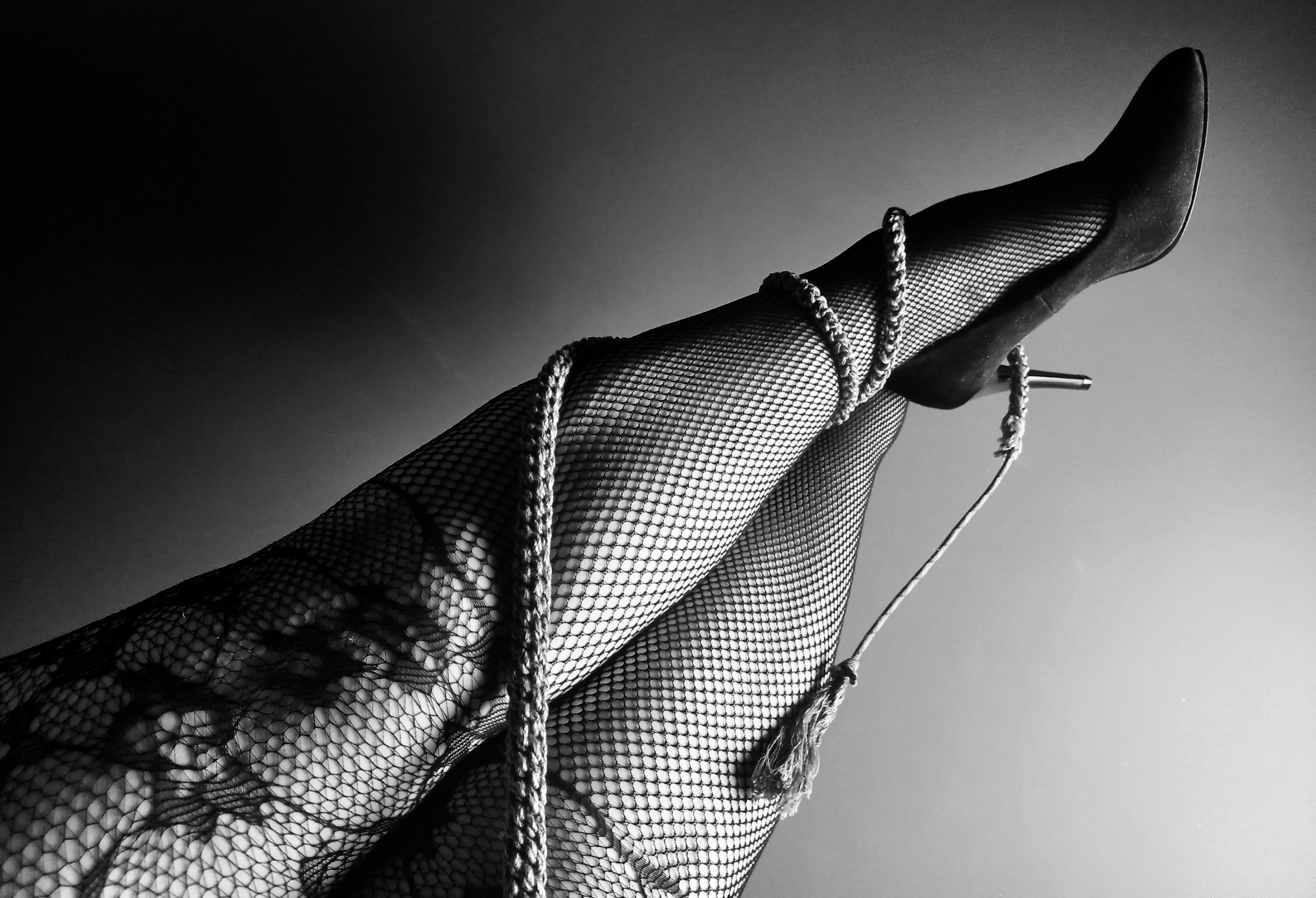 BBWinBDSM banner image