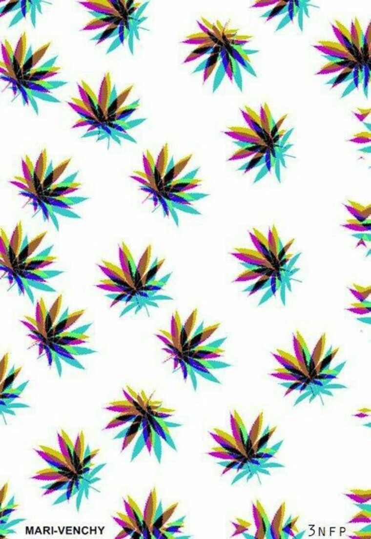 Terri cover image
